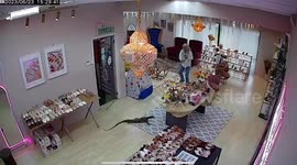 Monitor lizard rampages through shoe shop in Malaysia
