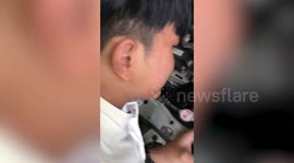 Kind mechanics help extract kitten stuck under car engine