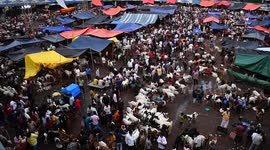 Livestock market ahead of Eid Al Adha in Kolkata, India