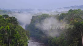 The calm and relaxing sounds of the jungle and river in the African rainforest. Equatorial Guinea. Nature sounds in ASMR style.