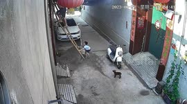 Chinese boy prevents father's fall by holding broken ladder steady