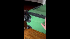 Suitcase Cat Stowaway