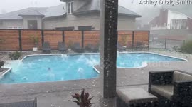Huge Hailstones In The Backyard