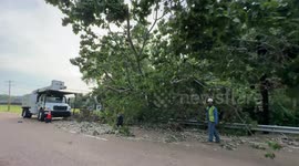 Powerful Winds leave Memphis in the Dark: Repair Crews Rush to Restore Electricity
