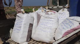 Houthis destroy large quantity of drugs in northern Yemen