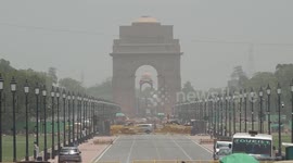 Tomato prices skyrocket in India due to incessant rains
