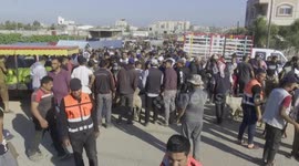 Soaring livestock prices in Palestine dim joy of Eid