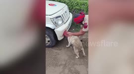 Indian officer rescues dog with head stuck in car