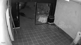 Orbs and other intruders triggered the Security Camera. There is no light, only infrarred camera monitoring during the Night.