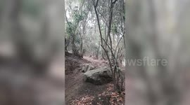 Mountain biker falls and slams on downhill trail