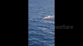Royal Caribbean Cruise Ship Passenger Rescued After Falling Overboard