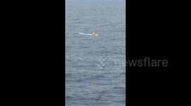 Royal Caribbean Cruise Ship Passenger Rescued After Falling Overboard 2