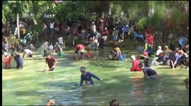 Dozens jump into river to catch 'prohibited' fish during traditional event in Indonesia