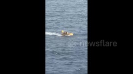 US woman who fell from Royal Caribbean cruise ship is rescued
