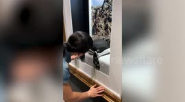Tourists simulate sniffing animal butts at bizarre wildlife exhibit in Kobe, Japan
