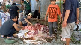 Indonesian Muslims Slaughtering Sacrificial Animals for Eid al-Adha in Jakarta, Indonesia