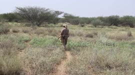 Saudi project dismantles 880 landmines in Yemen in 3rd week of June