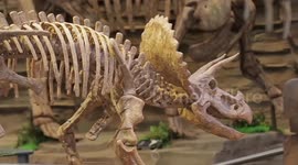 Dinosaur highlights tourism in NE China's Yanji