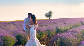 Unveiling the lavender paradise of Greece: a Van Gogh painting comes to life near Thessaloniki