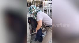 Volunteer frees pet dog trapped between fence bars