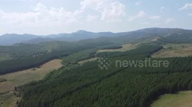 Ecological restoration efforts bear fruits in north China's nature reserve