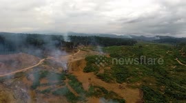 4К. Aerial footage. The devastating effects of deforestation and slash-and-burn in Central Africa.  African jungle. Equatorial Guinea, Africa.