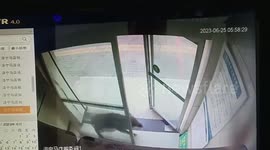 Wild boar rampages into Chinese bank, shattering glass door
