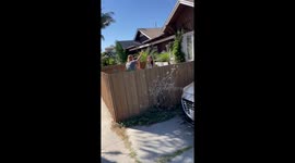 'You're upset because we made friends with your cat?' Man confronts neighbour over relationship with pet