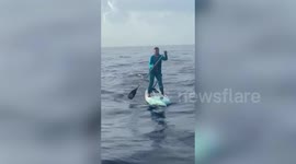 Woman paddleboarding across the ocean describes