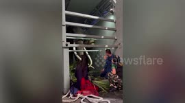 Abused elephant prepares for return from Sri Lanka to Thailand for medical treatment