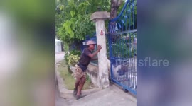 Emotional reaction! Pet owner wails tears of joy after reuniting with dog who went missing for a month