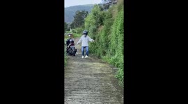 Daring rescue attempt ends in hilarious tumble!