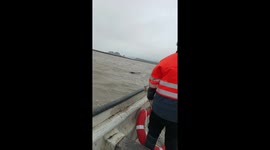 Fishing Boats Rescue Livestock Trapped By Flooding