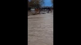 Dog Snaps At Rescuer's Face