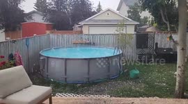Watch as a swimming pool is bombarded by huge hailstones as tornado warnings are issued across Alberta