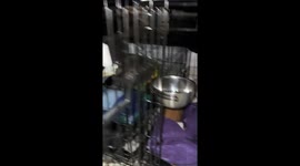 Loudly Snoring Dog Irritates Sleepy Sister