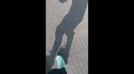 Roller Skater Rescues Tiny Turtle