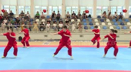 Chinese Wushu performance welcomed in Albania