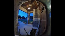 Door Dasher's disrespectful reaction to customer's tip during pizza delivery goes viral