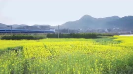 CPC, the soul of Chinese nation, serving interests of its people: Kenyan expert