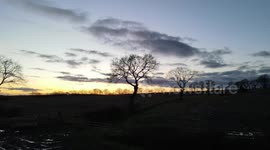 silhouette tree circle drone shot to 360