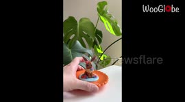 Clay Artist makes a polymer clay Pokemon trinket dish