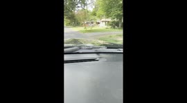 Snake Comes Out of Pickup's Hood