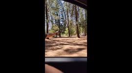 'I've got Jesus on my side,' shouts furious woman accosting bemused motorist in California
