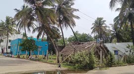 Crows in Pondicherry take a bath to beat the summer heat.