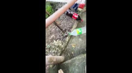 Bottles Burst When Spilled on Staircase