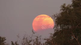 July supermoon appears even brighter in African savanna, where there's little light pollution