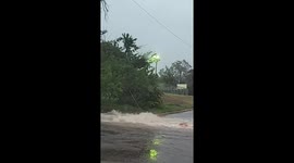 Texas motorist captures opossum's dramatic battle against raging floodwater