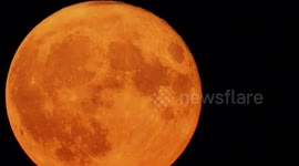 Orange-tinted Buck Supermoon in 4k above Kent, UK