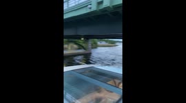 Man on Sightseeing Boat Gets a Lesson in Physics